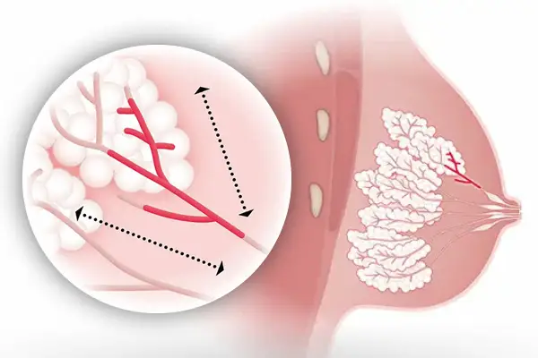 Vignette Actu-12 illustrations Le Confluent