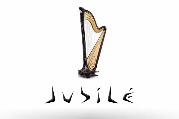 Visuels Vignette Actu-logo Jubilé noir