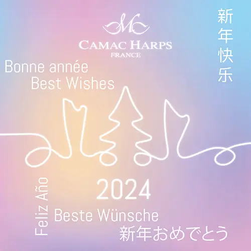 Maq1b-Bannière Carte de vœux Camac-1-Instagram-1600x1600px